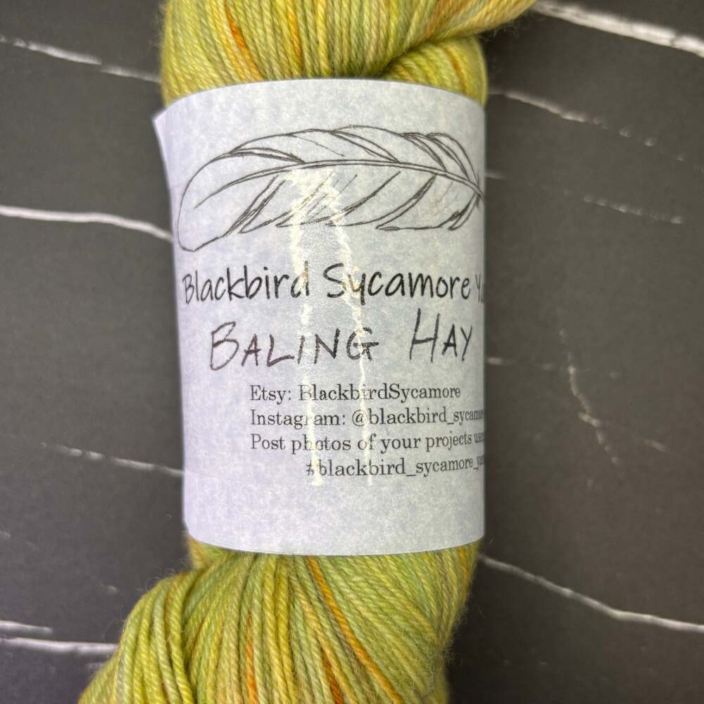 Blackbird Sycamore Indie Hand Dyed Fingering Super Sock Yarn Baling Hay
